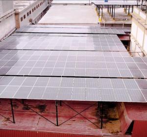 Masoom-Flour-Mills-3